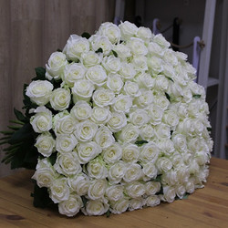 101 Белая роза 60 см