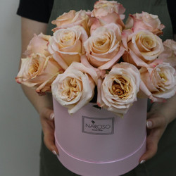 Nune (пионовидные розы в коробке)
